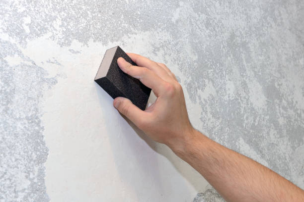 Best Black Mold Removal  in Woodcreek, TX