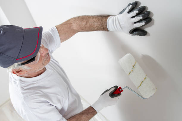 Best Industrial Mold Remediation  in Woodcreek, TX