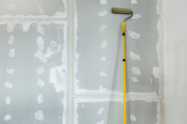 Best Dehumidification Services  in Woodcreek, TX