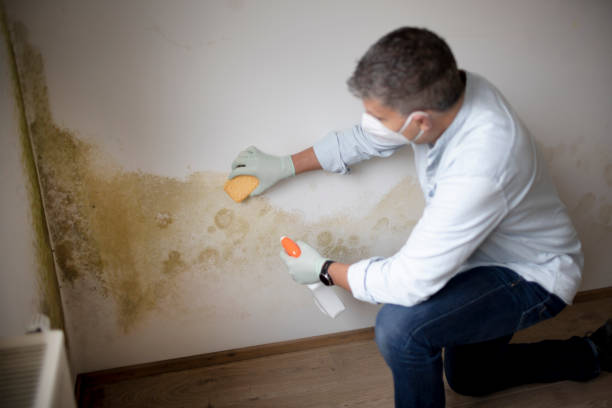 Best Residential Mold Inspection & Testing  in Woodcreek, TX