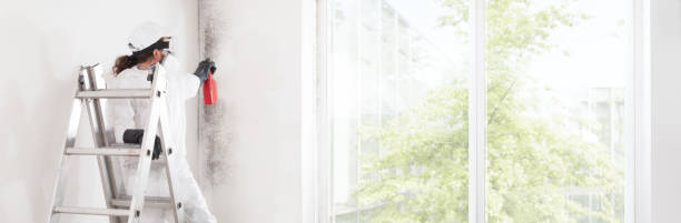 Mold Removal for HVAC Installations in Woodcreek, TX