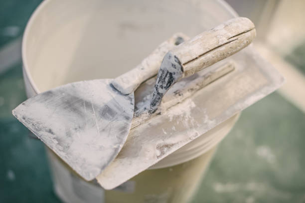 Best Mold Damage Restoration  in Woodcreek, TX